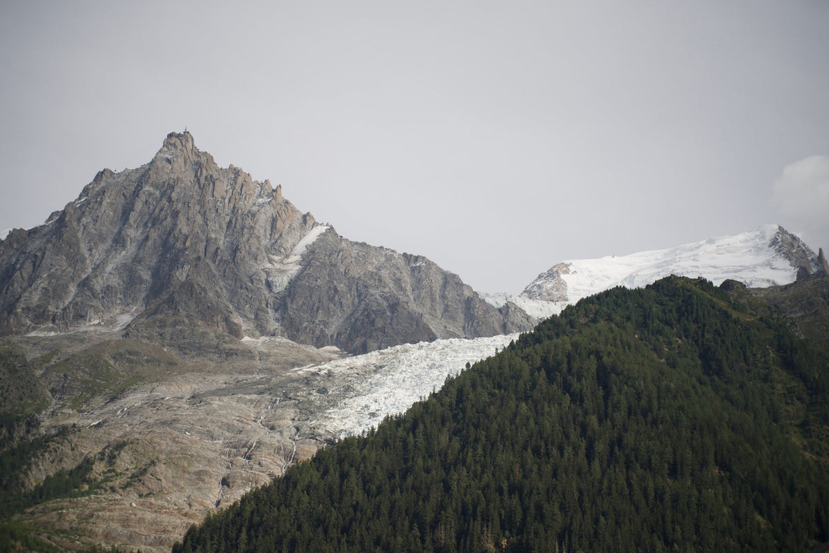 Mont Blanc massif with glacier and forest above Chamonix